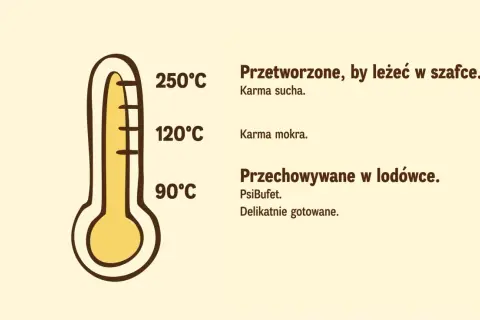 Termometr pokazuje, że gotowane jedzenie dla psa proporcje zależą od temperatury. Karma sucha 250°C, mokra 120°C, a delikatnie gotowane PsiBufet 90°C i do lodówki.