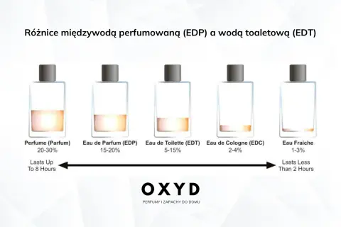Porównanie trwałości perfum: od Parfum (20-30% olejku, do 8h) po Eau Fraiche (1-3% olejku, poniżej 2h).