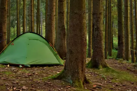 Zielony namiot i rowery czekają na nocne spanie w lesie.