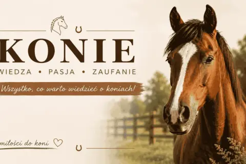 Piękny koń kasztanowy z białą strzałką na czole. Grafika z napisem "Konie" i hasłem "Wszystko, co warto wiedzieć o koniach!". Różne rodzaje koni i ich piękno.