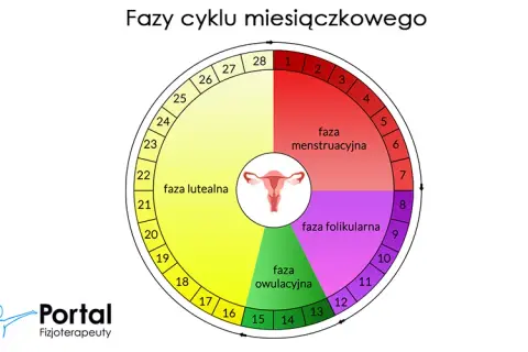 Miesiączka co ile dni? Normy, nieregularności i kiedy do ginekologa