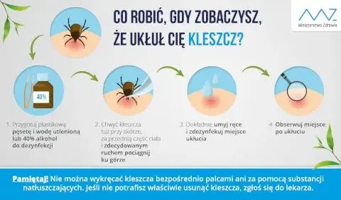 Jak zapobiec boreliozie? Twój kompletny poradnik ochrony przed kleszczami