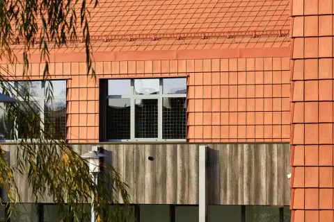 Kasztanowa dachówka jaką elewację wybrać, aby uniknąć błędów?
