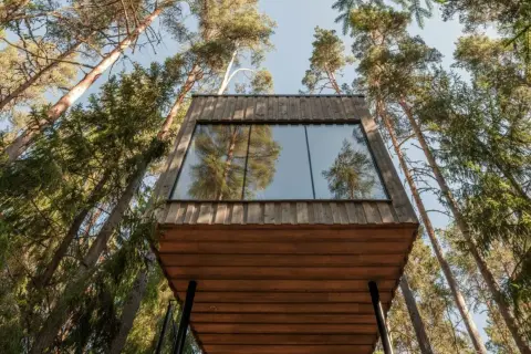 Bo i koja i skogen hotell, en modern träkabin med stora fönster som speglar tallskogen.