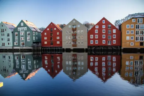 Ile zarabia weterynarz w Norwegii? Realne zarobki i koszty życia.