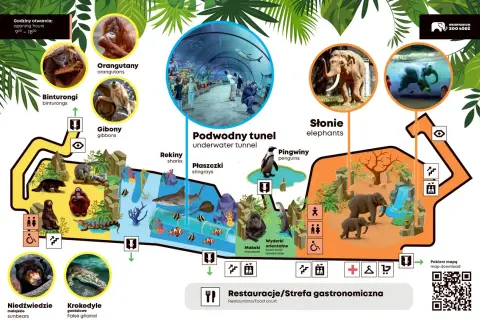 Zoo Łódź zaprasza! Zobacz orangutany, słonie, pingwiny i podwodny tunel. Sprawdź zoo łódź bilety ulgowe.