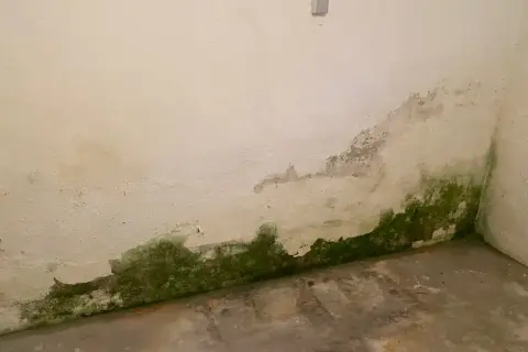 Feuchtigkeit im Keller hat grüne Flecken und abblätternde Farbe an der Wand hinterlassen.