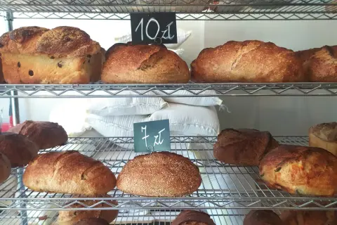 Różnorodne bochenki chleba rzemieślniczego na półkach piekarni. Widać chleb z rodzynkami, na zakwasie, z dodatkami i posypany sezamem.