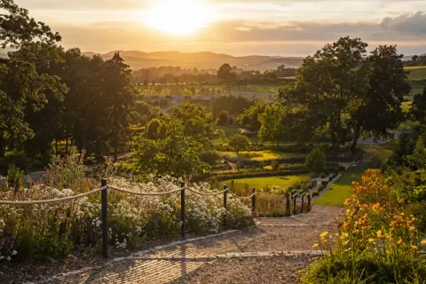 Kiedy jechać do arboretum Wojsławice, aby nie przegapić kwitnienia?