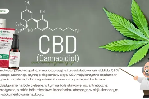 Jaki olejek na ból stawów? Naturalne sposoby na ulgę w bólu