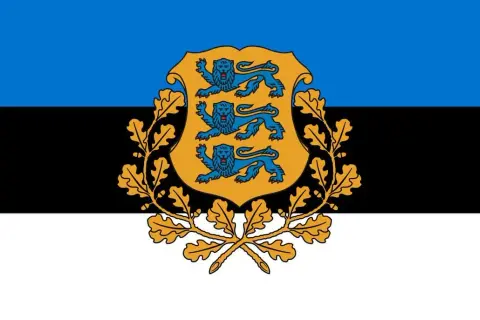 Jak wygląda flaga Estonii? Symbolika kolorów i historia flagi