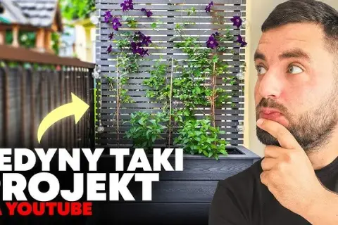 Donica z pergolą DIY: Kompletny przewodnik krok po kroku