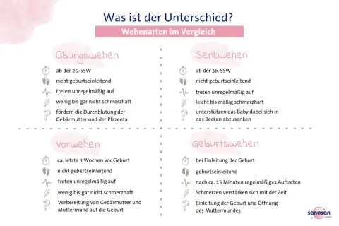 Vergleich von Wehenarten: Übungswehen (ab 25. SSW) und Senkwehen (ab 36. SSW) sind nicht geburtseinleitend. Vorwehen bereiten vor, Geburtswehen leiten die Geburt ein. Druck auf die Scheide kann bei 33. SSW auf Vorwehen hindeuten.