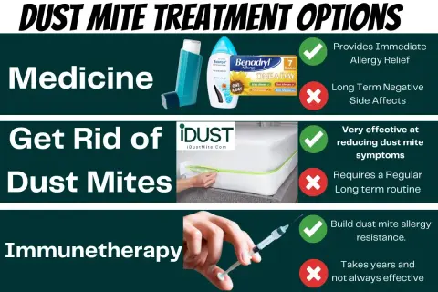 Mattress encasement to combat dust mites, alongside medicine and immunotherapy options for allergy relief.