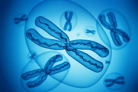 Chromosomy w niebieskich bańkach, jeden z nich jest powiększony. Obraz symbolizuje zespół Turnera.