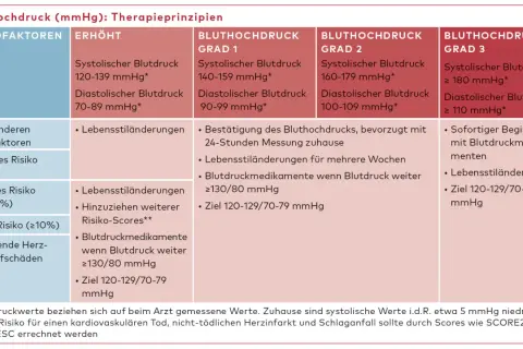 Tabelle zeigt Therapieprinzipien bei Bluthochdruck. Lebensstiländerungen, wie z.B. durch Salbei, können den Blutdruck senken.