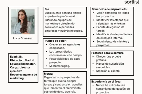 Lucía, 38, directora ejecutiva de agencia de marketing, es un ejemplo de buyer persona. Sus metas y puntos de dolor guían la estrategia.