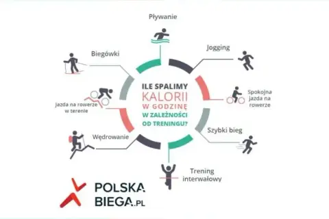 Które cardio spala najwięcej kalorii? Ranking i porady eksperta