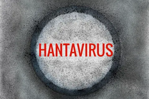 Czerwony napis "HANTAWIRUS" na tle okręgu z szarym, ziarnistym wzorem.
