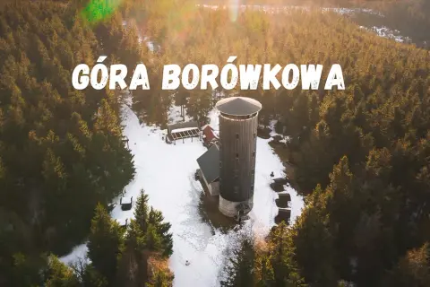 Jak dojść na Borówkową Górę - łatwe trasy i przydatne wskazówki