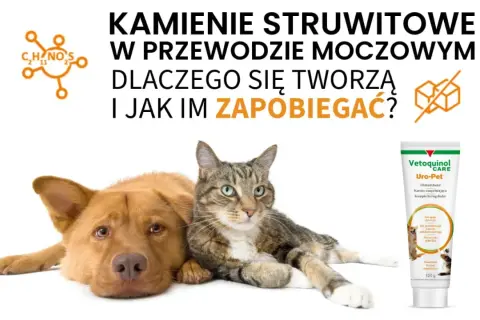 Pies i kot obok tubki karmy Uro-Pet. Temat: kamienie w pęcherzu u zwierząt i jak im zapobiegać.
