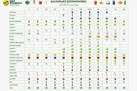 Kalendarz sezonowości polskich warzyw. Kiedy siać cukinie? Wskazuje na to zielona ikona ogórka w maju i czerwcu.