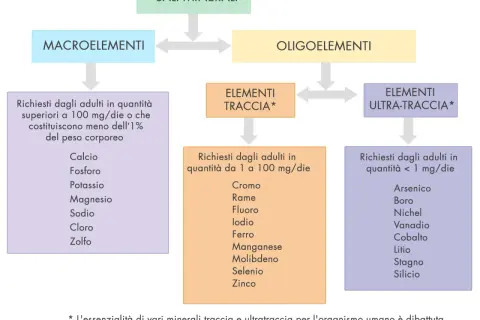 Schema sui sali minerali: macroelementi, oligoelementi, elementi traccia e ultra-traccia, con esempi di minerali essenziali per l'organismo.