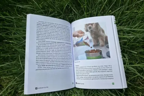 Szczeniak dostaje karmę z miarki do miski. Dowiedz się, czym karmić szczeniaka, by był zdrowy.