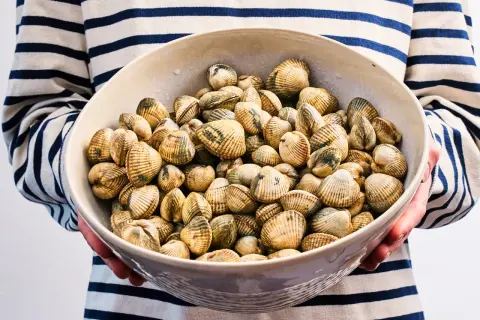 Un bol rempli de coques coquillage, prêt à être cuisiné. Les coquillages sont disposés dans un bol en céramique, tenus par une personne portant un pull rayé bleu et blanc.