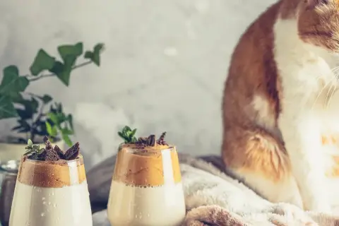 Pomarańczowy kot myje łapkę obok dwóch deserów z bitą śmietaną i kawą, a obok stoi butelka z mlekiem.