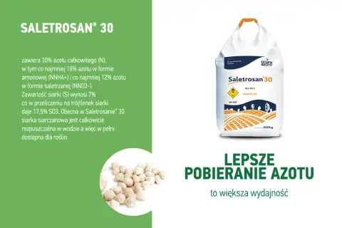 Saletrosan® 30 – nawóz z azotem i siarką, poprawiający pobieranie składników odżywczych przez rośliny. Opakowanie 500kg.