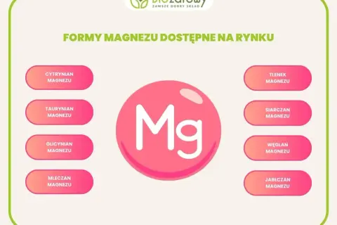 Cytrynian magnezu na co pomaga? Grafika przedstawia różne formy magnezu dostępne na rynku, w tym cytrynian magnezu.