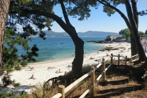 Disfruta del sol en la playa de los olmos vigo, con arena blanca, aguas cristalinas y gente relajándose bajo los pinos.