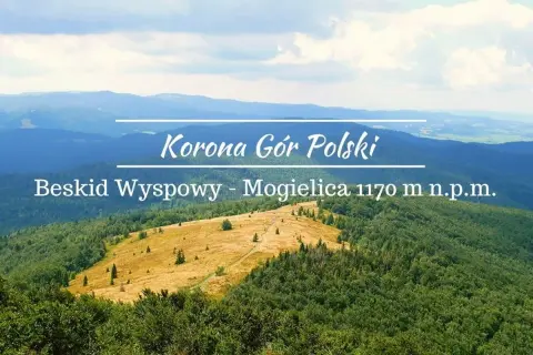 Widok na Beskid Wyspowy - Mogielicę, szczyt Korony Gór Polski. Malowniczy, zielony krajobraz z żółtą ścieżką.