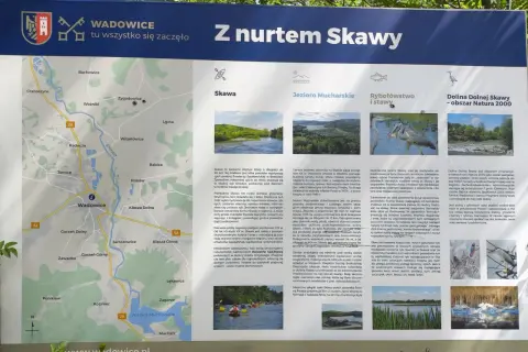Mapa turystyczna z zaznaczoną rzeką Skawą, która przepływa przez Wadowice. Opisuje jej historię, walory przyrodnicze i rekreacyjne.