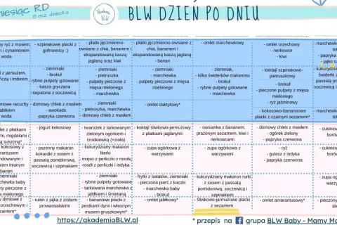 Tabela żywienia 7-miesięcznego dziecka: propozycje posiłków na każdy dzień, w tym omlety, placki i zupy.