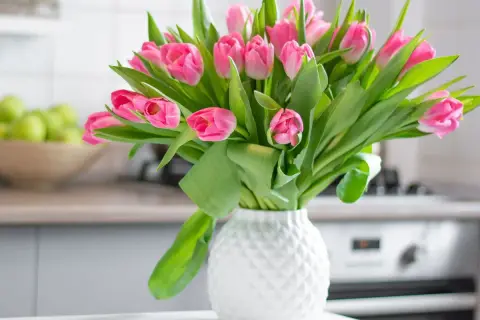 Piękne, różowe tulipany w białym wazonie. Poznaj proste triki, jak utrzymać tulipany w wazonie dłużej świeże.