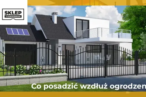 Co posadzić wzdłuż ogrodzenia, by stworzyć piękny i gęsty żywopłot