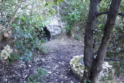 Sentiero che conduce alla grotta del mortarolo, tra vegetazione e rocce.
