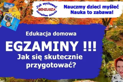 Edukacja domowa w technikum: Jak zdać egzaminy i zdobyć zawód?