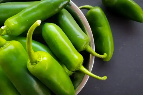 Garnek pełen zielonych papryczek jalapeno. Czy jalapeno jest zdrowe? Tak, jest bogate w witaminy i antyoksydanty.