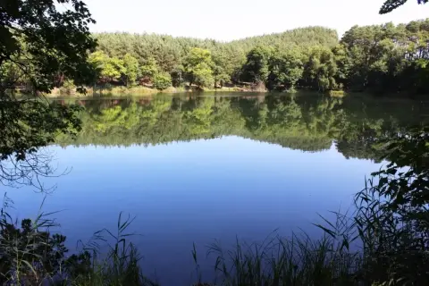 Spokojne jezioro serce natury, odbijające zielony las i błękitne niebo.