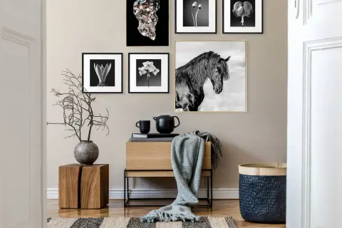 Un mur décoré de tableaux en noir et blanc, dont un majestueux cheval, crée une ambiance élégante. Un petit meuble en bois et une plante ajoutent une touche naturelle à cette décoration facile.