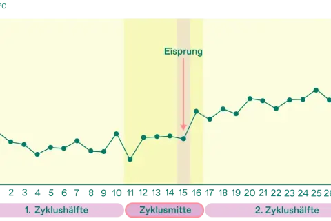 Temperaturkurve zeigt den Zyklusverlauf. Ein Pfeil markiert den Eisprung, der oft um den Zyklustag 14 stattfindet.