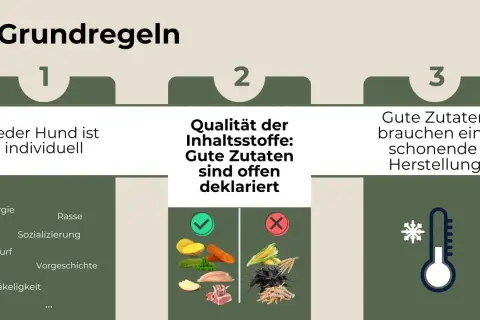 Drei Regeln für die ideale Zusammensetzung von Hundefutter: Individuelle Bedürfnisse, offene Deklaration guter Zutaten und schonende Herstellung.