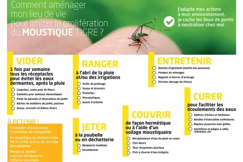 Un moustique tigre sur un doigt, avec des conseils pour éviter sa prolifération, notamment en gérant les bassins anti moustique.