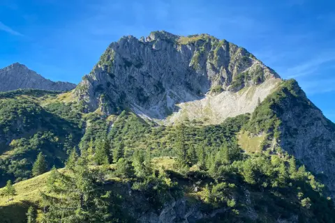 Sonnenbeschienene Hänge und felsige Gipfel prägen die Landschaft bei einer rubihorn wanderung. Grüne Nadelbäume und Almwiesen unter blauem Himmel.