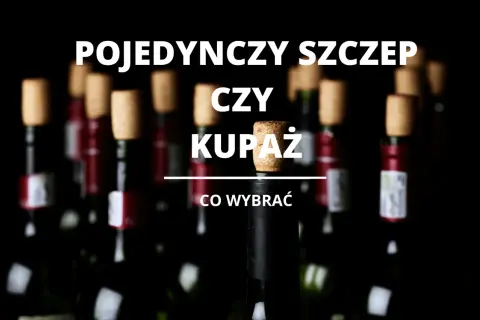 Winnice oferują wybór między winem z pojedynczej odmiany a kupażem. Co wybrać?