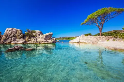 Klares, türkises Wasser an einem Strand mit Felsen und einem Baum. Ein Ort, wo es Ende Oktober noch warm ist.