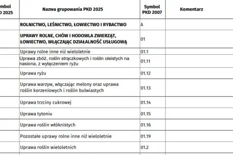 Przeważające PKD krok po kroku: Jak bez stresu ustalić główny kod działalności
